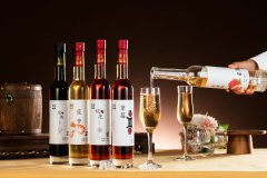 果酒招商加盟有哪些扶持政策？卖果酒利润高吗