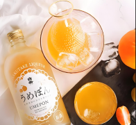 低度青梅酒招商 女士微醺酒代理政策