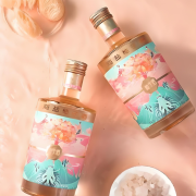 低度女士青梅酒厂家 现货秒发批发